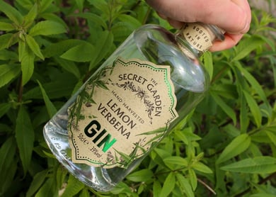 The Secret Herb Garden Edinburgh Gin